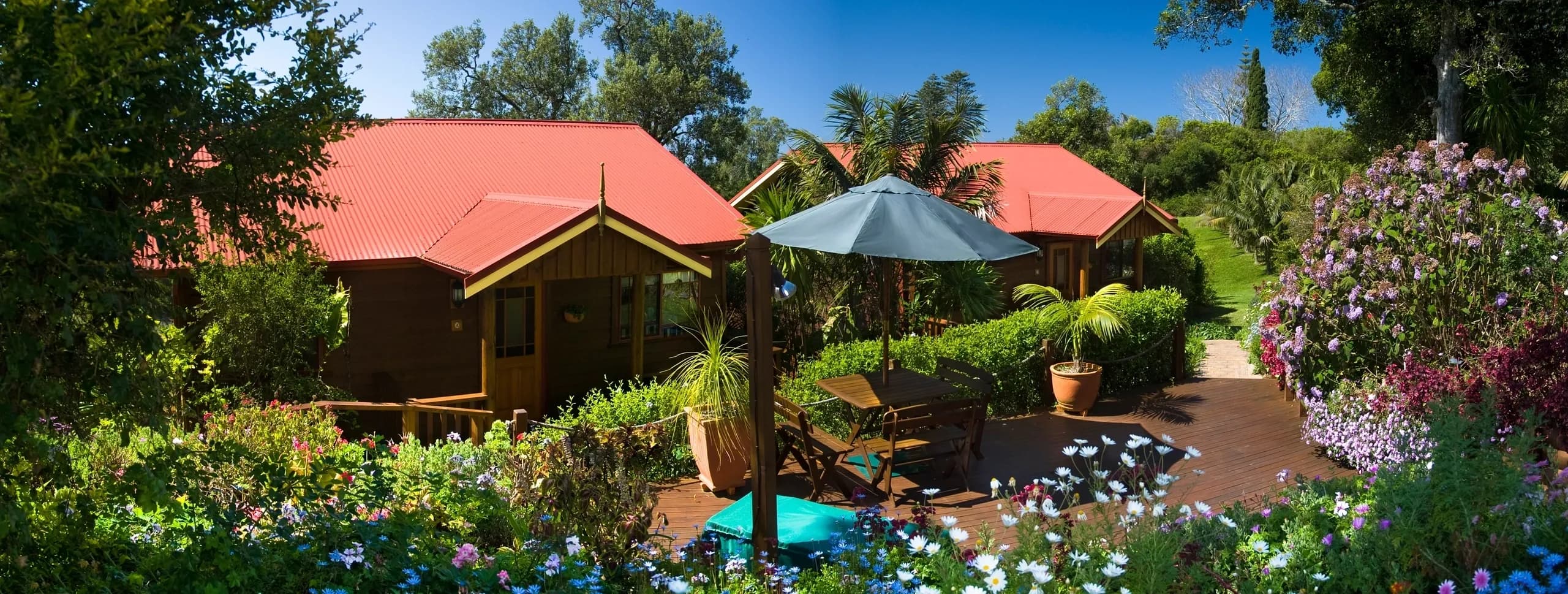 View from the deck at Jacaranda Park